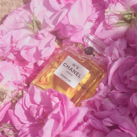 chanel no.5 rose petals grasse|chanel no 5 where to buy.